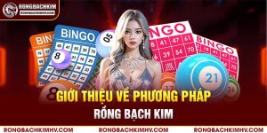 Giới thiệu về phương pháp rồng bạch kim