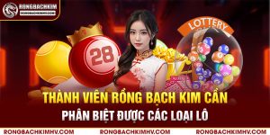 Phân biệt được các loại lô cầu